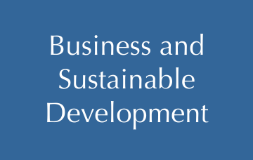  Business and Sustainable Development